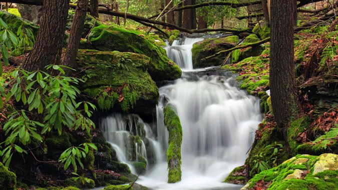 ���죬ɭ�֣���ľ������2022����Ȼ���羰����ƬͼƬ