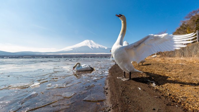 ��ʿɽ�������죬������2021���羰��4K����ӰͼƬ