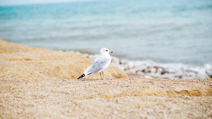 ����ɳ̲��ɳ̲����ɫ����4KͼƬ