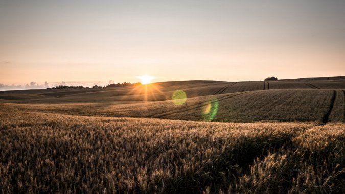 �����µ�����ͼƬ