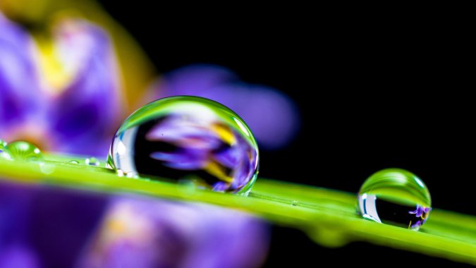 ��ɫ���ʻ���ˮ�Σ���Ҷ����дͼƬ