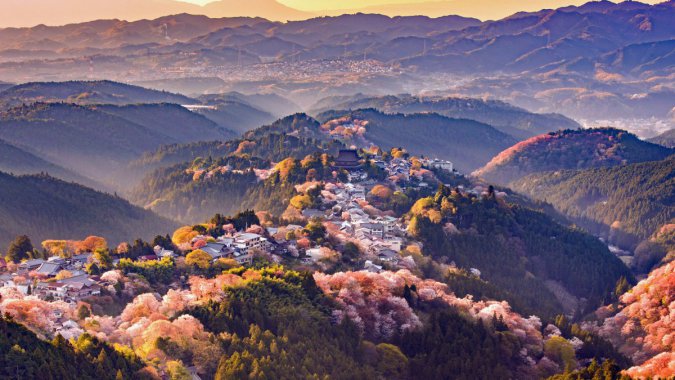 �ձ������ؼ�Ұɽ��2021���羰�����壬��ƬͼƬ