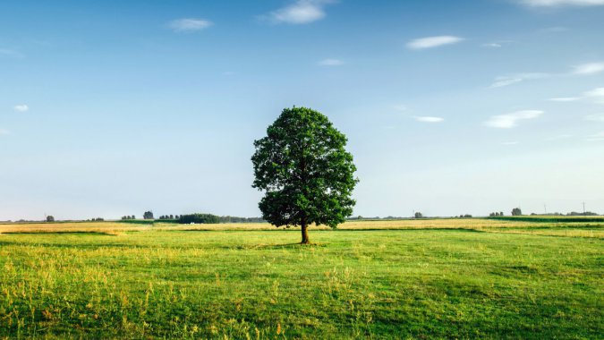 ��ԭ��ũ������ɫ��������ɫ�����ͼƬ