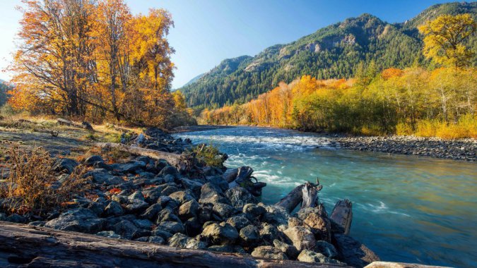 �������ʯͷ����ɫ��ɭ�֣���ͼƬ