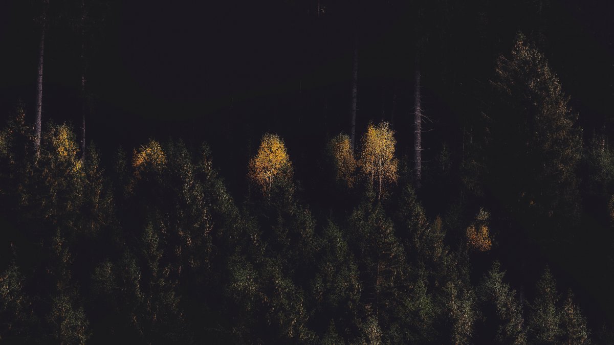 ҹͼƬ