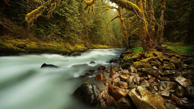 ԭʼ��ɭ�֣�Ϫ����̦޺��ʯͷͼƬ