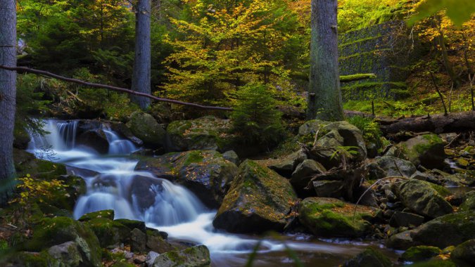 ���䣬Ҷ�ӣ�ɭ�֣����������壬�羰����ӰͼƬ