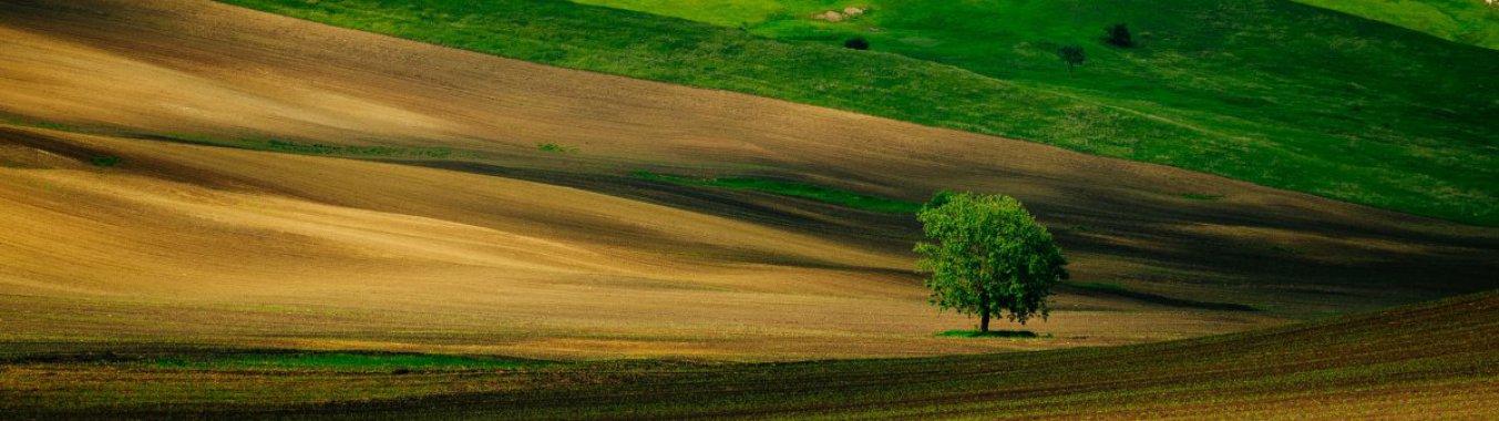 ��Ұ�����ͼƬ