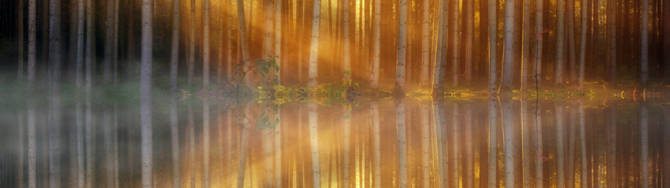 ɭľ ˮ ӳ 5120x1440羰ͼƬ