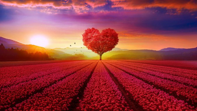 Ψ����ɫõ�廨���Ͱ�����ͼƬ