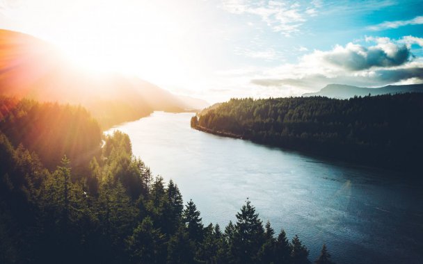 ��������ï�ܵ�ɭ��ͼƬ