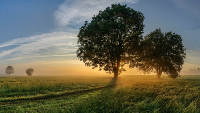 �����Ұ��·ͼƬ