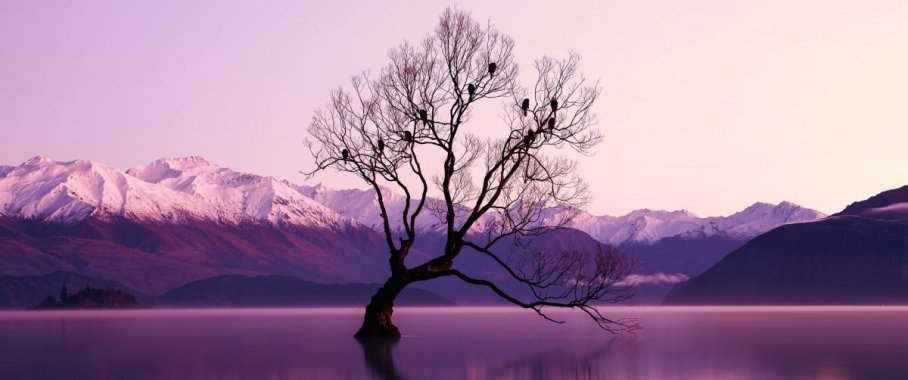 ���������ľͼƬ