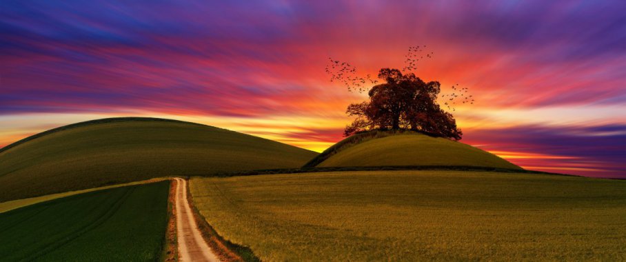 ��ɫ�ĵ���ͼƬ