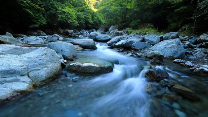 ��ɫ��ɭ�֣���������ʯ������ͼƬ