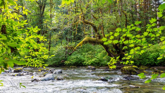 廪ʢ٣ƥ˹԰2021ɭ֣ȻͼƬ