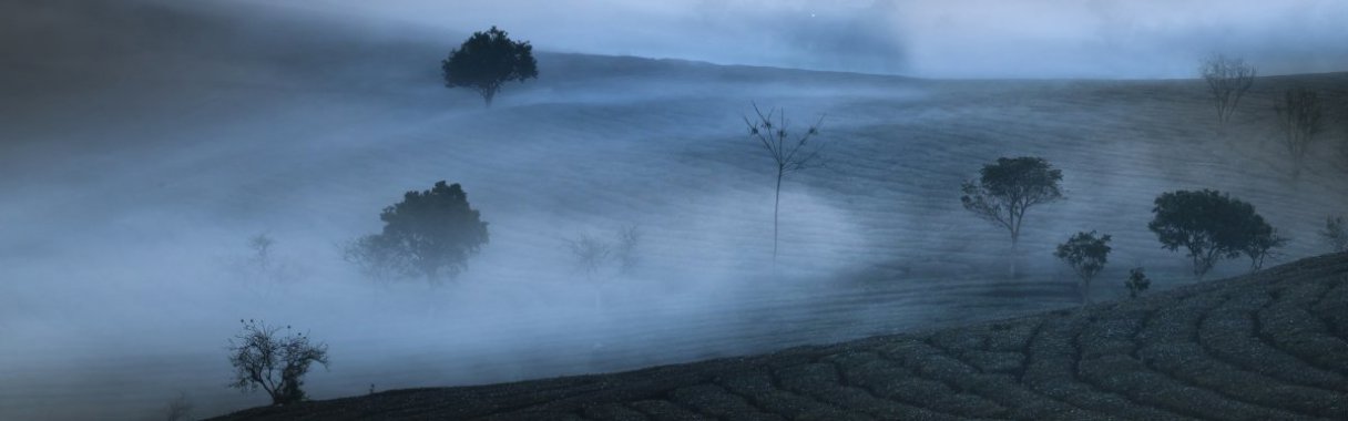 ���屡�����ֵĲ�԰ͼƬ