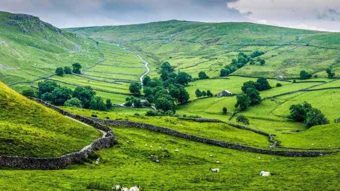 ����Ӣ������ɫ��Ұ���ͼƬ