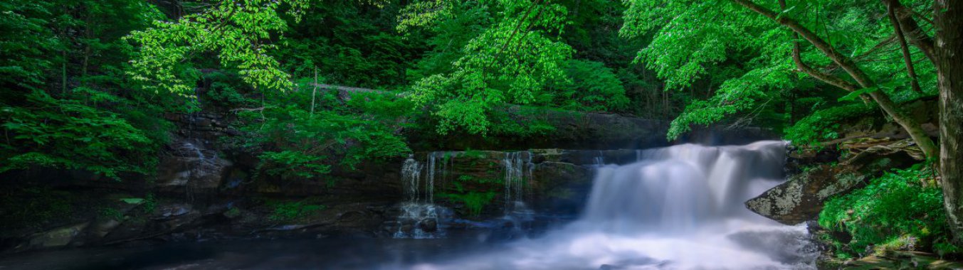 ����ɭ���е�Ϫ��ͼƬ