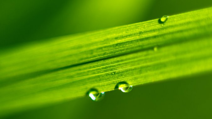 ˮΣ2021ʣɫҶӣ΢࣬ͼƬ