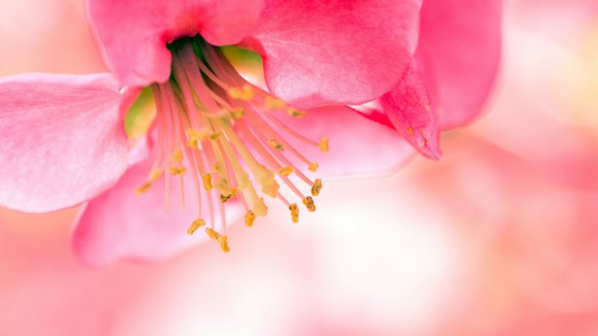 ɫﺣģ΢࣬2022ȻƬͼƬ