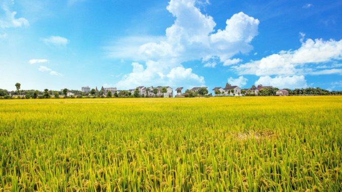 �����й������죬�ջ���ʳ��2021���羰��5K����ƬͼƬ