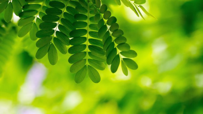 ɫҶӣֲ2021꣬죬5K΢ͼƬ