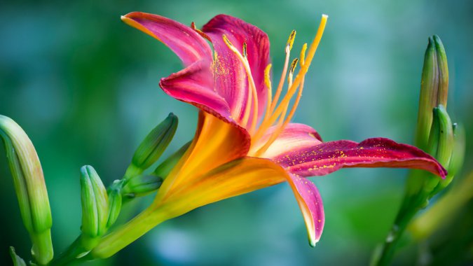 ƯɫٺϣܣţӰ4KͼƬ