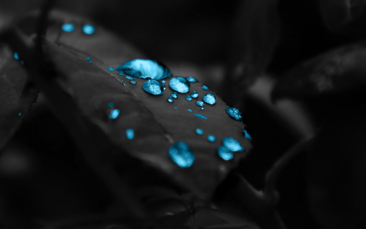 ҶϵˮͼƬ
