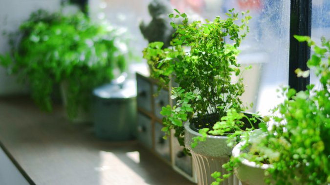 崰̨⣬ɫԣֲƬͼƬ