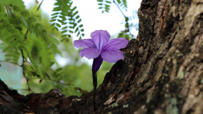 ɫĻ䣬2022Ȼ壬ƬͼƬ