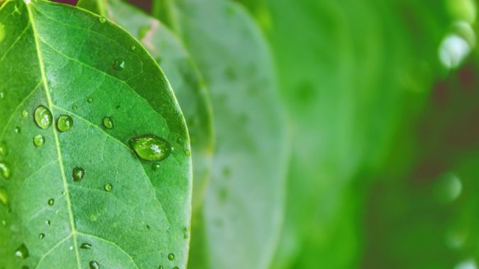 ɫҶӣˮ¶ˮ4KHDͼƬ