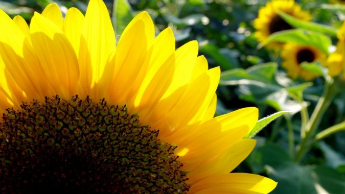 ļտ2022ֲ壬ƬͼƬ