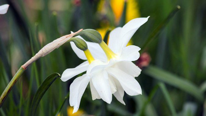 ɫˮɻ2022ȻֲдͼƬ