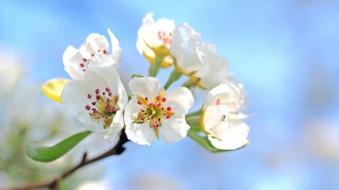 崺죬ɫ滨꣬20224ͼƬ