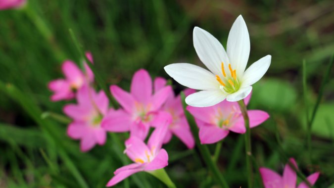 ɫۺɫ2022ֲ壬ƬͼƬ