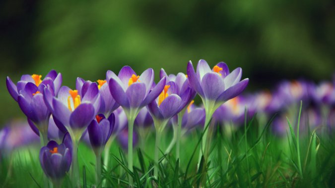 巬컨죬4K壬ƬͼƬ