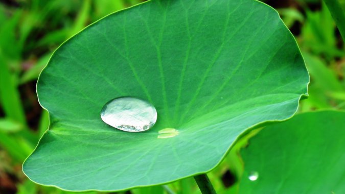 ɫҶˮΣ2022Ȼֲ壬ƬͼƬ