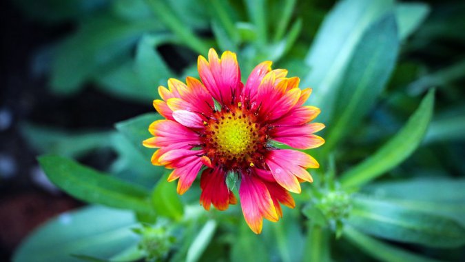 2022ۺɫʢʻɫ꣬HDͼƬ