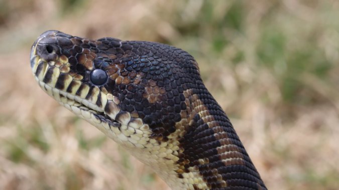 ��������ͼƬ