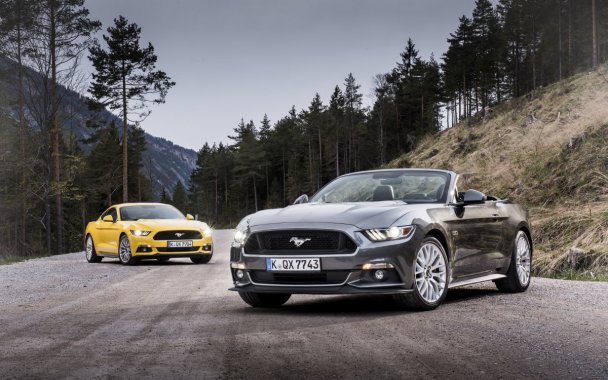 ���帣��Ұ������ͼƬ