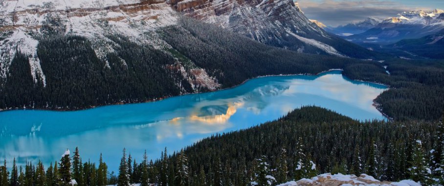 ������ô�����ҹ�԰������ͼƬ