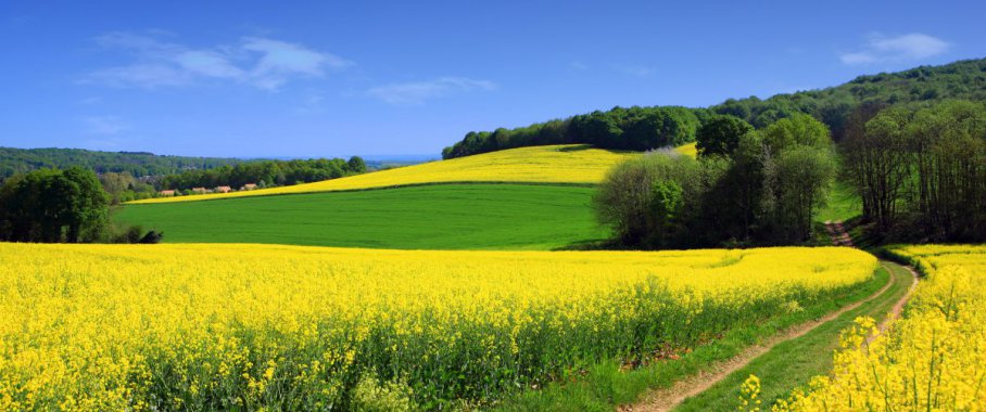 ������ɫ��� ũ�� �Ͳ˻� ���� �羰ͼƬ