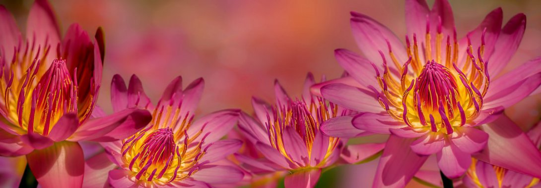 �����ɫ�ʻ�5kͼƬͼƬ