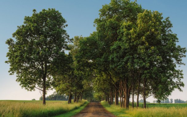 ������������ͼƬ