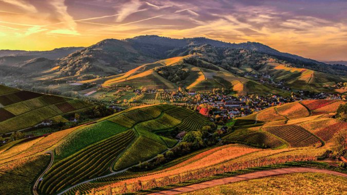 ������������԰���ͼƬ