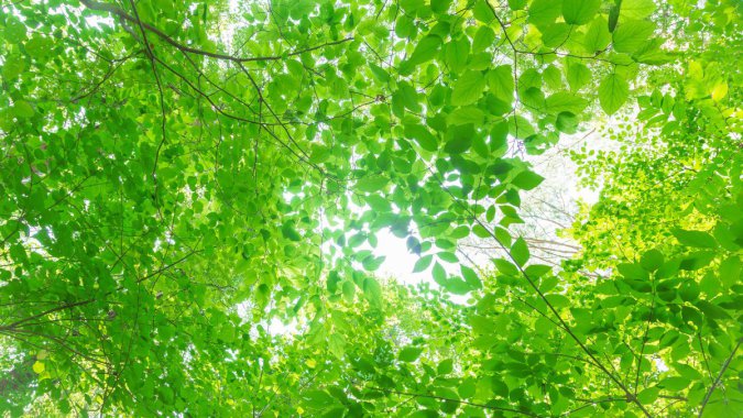 ɫҶӣ⣬2022ƷʣͼƬ