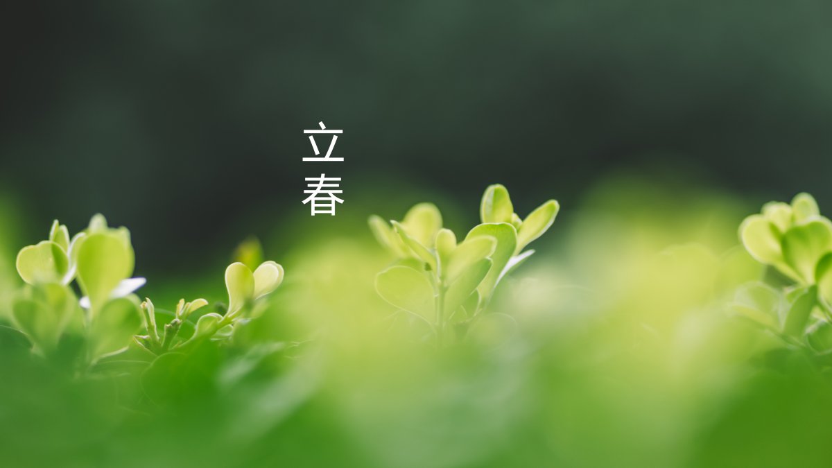  ʮĽ ѿ ɫ4kֽͼƬ
