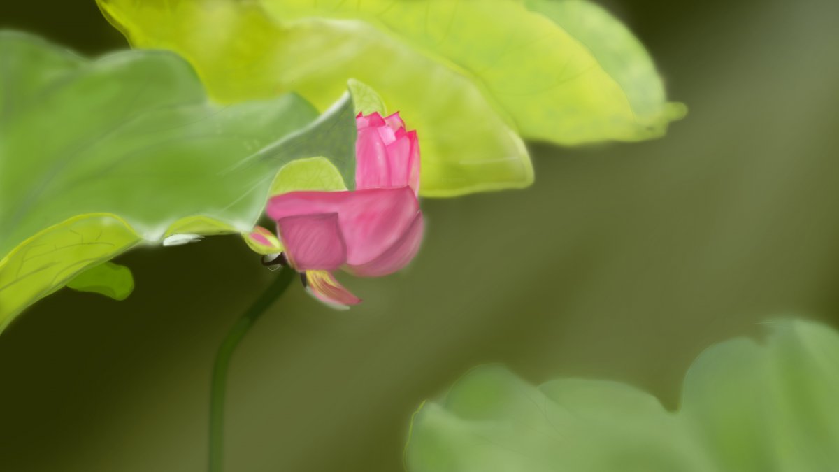 ɻ Ҷ ۺɫɻ4kֽͼƬ