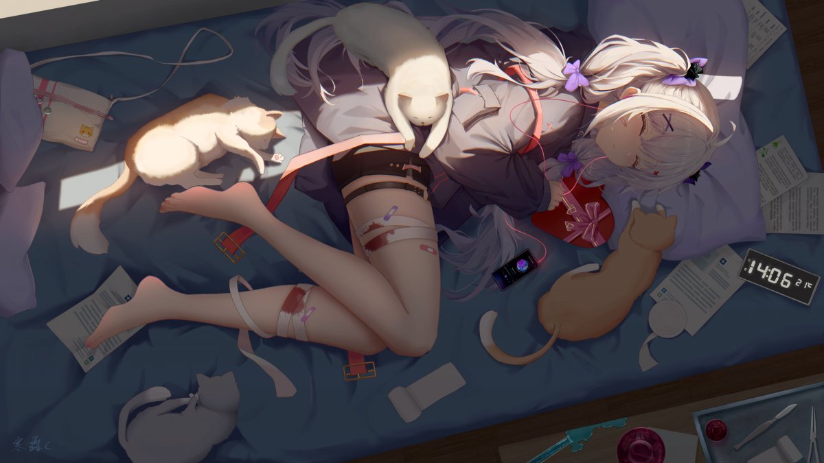 Ů Ԫ ˯ è ɰ 4kֽͼƬ
